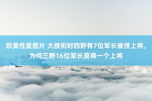 欧美性爱图片 大授衔时四野有7位军长被授上将，为何三野16位军长莫得一个上将