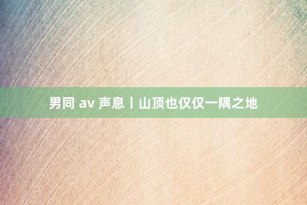 男同 av 声息丨山顶也仅仅一隅之地