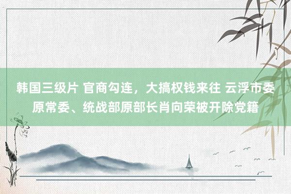 韩国三级片 官商勾连，大搞权钱来往 云浮市委原常委、统战部原部长肖向荣被开除党籍