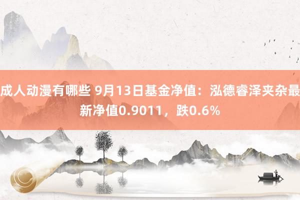 成人动漫有哪些 9月13日基金净值：泓德睿泽夹杂最新净值0.9011，跌0.6%