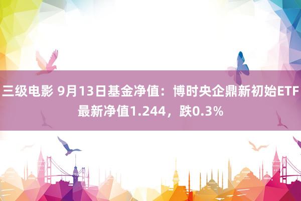 三级电影 9月13日基金净值：博时央企鼎新初始ETF最新净值1.244，跌0.3%