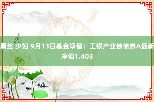 黑丝 少妇 9月13日基金净值：工银产业债债券A最新净值1.403