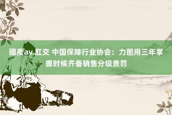 國產av 肛交 中国保障行业协会：力图用三年掌握时候齐备销售分级责罚