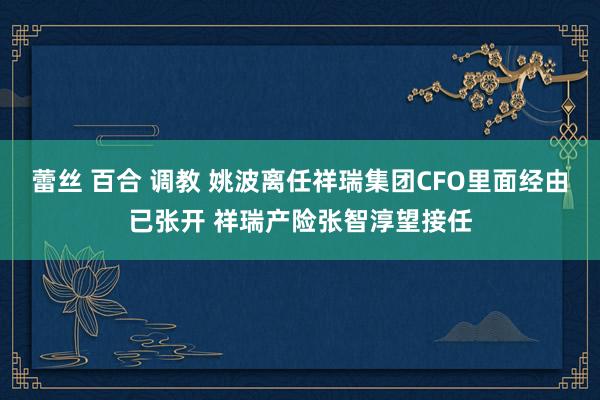 蕾丝 百合 调教 姚波离任祥瑞集团CFO里面经由已张开 祥瑞产险张智淳望接任