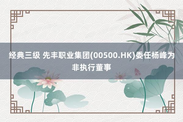 经典三级 先丰职业集团(00500.HK)委任杨峰为非执行董事