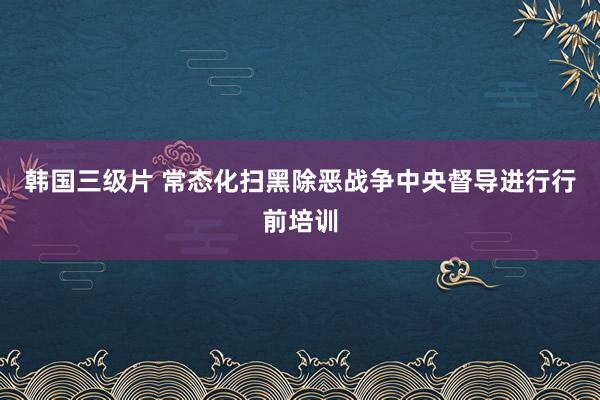 韩国三级片 常态化扫黑除恶战争中央督导进行行前培训