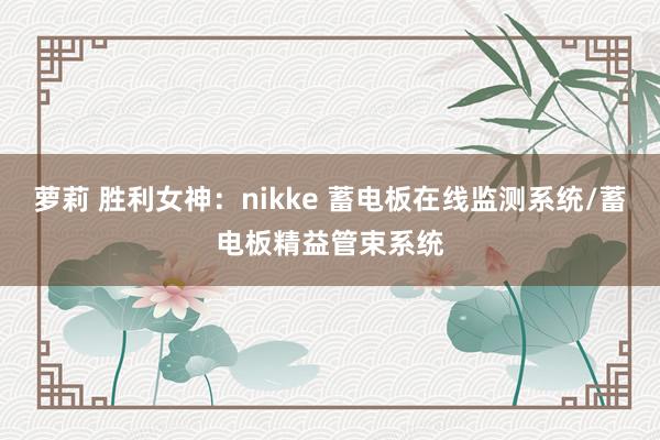 萝莉 胜利女神：nikke 蓄电板在线监测系统/蓄电板精益管束系统