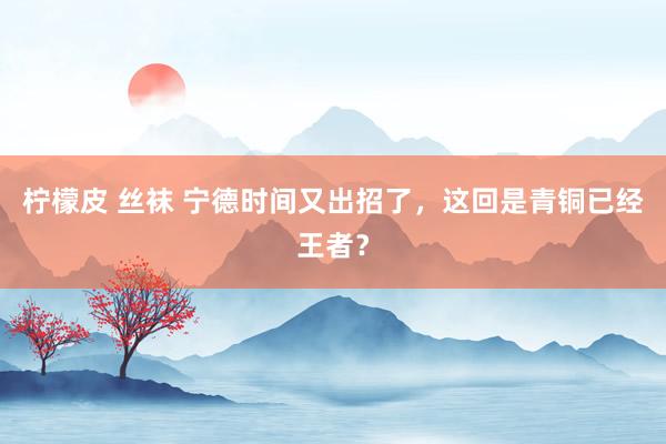 柠檬皮 丝袜 宁德时间又出招了，这回是青铜已经王者？