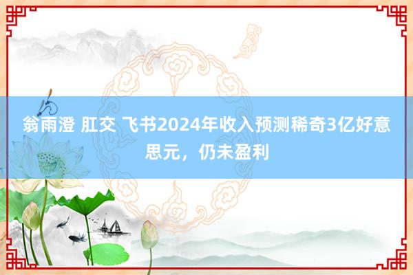 翁雨澄 肛交 飞书2024年收入预测稀奇3亿好意思元，仍未盈利