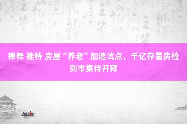 裸舞 推特 房屋“养老”加速试点，千亿存量房检测市集待开释