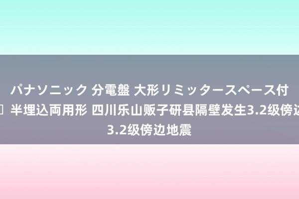 パナソニック 分電盤 大形リミッタースペース付 露出・半埋込両用形 四川乐山贩子研县隔壁发生3.2级傍边地震