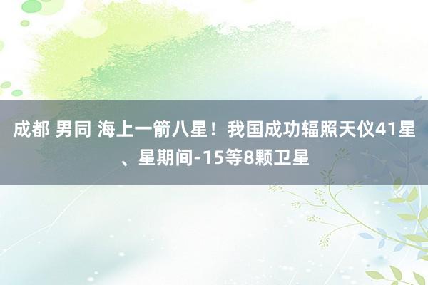 成都 男同 海上一箭八星！我国成功辐照天仪41星、星期间-15等8颗卫星