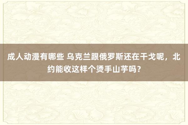 成人动漫有哪些 乌克兰跟俄罗斯还在干戈呢，北约能收这样个烫手山芋吗？