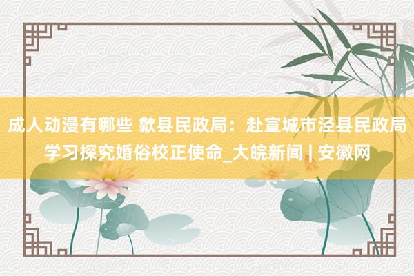 成人动漫有哪些 歙县民政局：赴宣城市泾县民政局学习探究婚俗校正使命_大皖新闻 | 安徽网