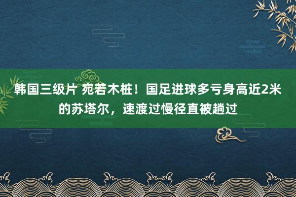 韩国三级片 宛若木桩！国足进球多亏身高近2米的苏塔尔，速渡过慢径直被趟过