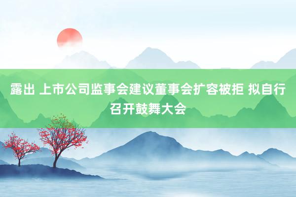 露出 上市公司监事会建议董事会扩容被拒 拟自行召开鼓舞大会