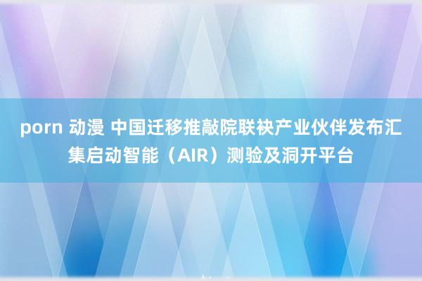 porn 动漫 中国迁移推敲院联袂产业伙伴发布汇集启动智能（AIR）测验及洞开平台