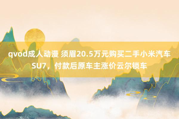 qvod成人动漫 须眉20.5万元购买二手小米汽车SU7，付款后原车主涨价云尔锁车