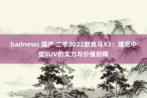 badnews 国产 二手2022款良马X3：理思中型SUV的实力与价值剖释