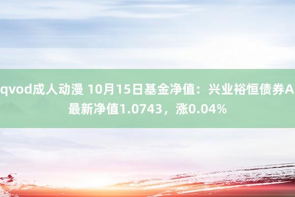 qvod成人动漫 10月15日基金净值：兴业裕恒债券A最新净值1.0743，涨0.04%