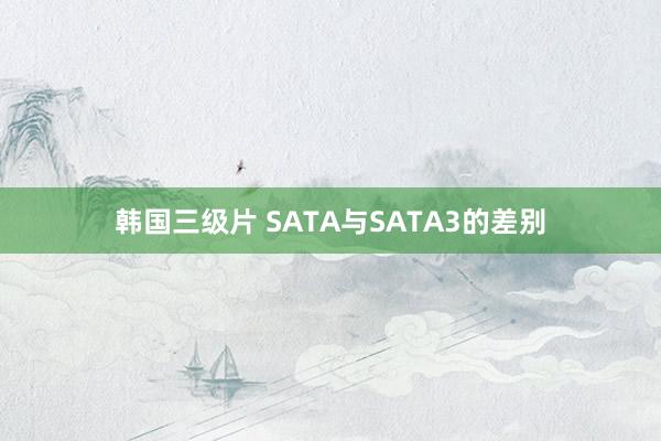 韩国三级片 SATA与SATA3的差别