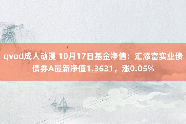 qvod成人动漫 10月17日基金净值：汇添富实业债债券A最新净值1.3631，涨0.05%