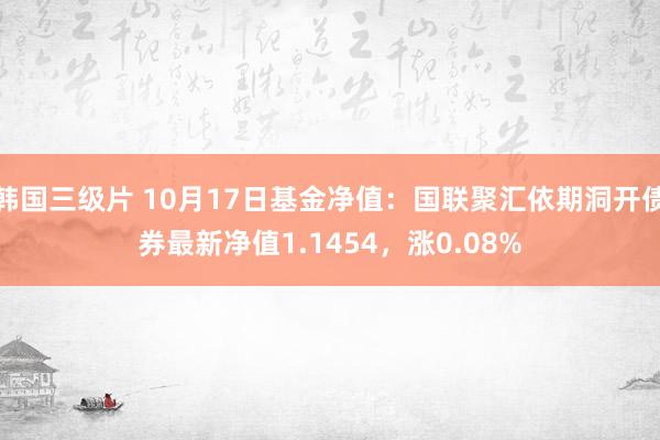 韩国三级片 10月17日基金净值：国联聚汇依期洞开债券最新净值1.1454，涨0.08%