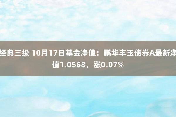 经典三级 10月17日基金净值：鹏华丰玉债券A最新净值1.0568，涨0.07%