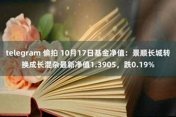 telegram 偷拍 10月17日基金净值：景顺长城转换成长混杂最新净值1.3905，跌0.19%