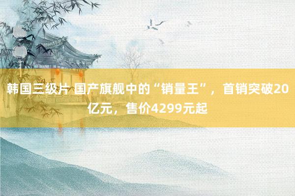 韩国三级片 国产旗舰中的“销量王”，首销突破20亿元，售价4299元起