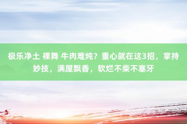 极乐净土 裸舞 牛肉难炖？重心就在这3招，掌持妙技，满屋飘香，软烂不柴不塞牙