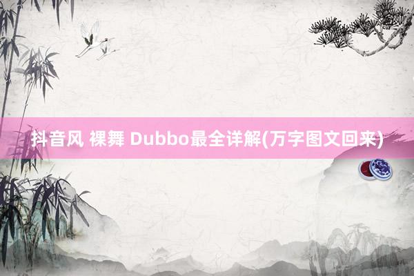 抖音风 裸舞 Dubbo最全详解(万字图文回来)