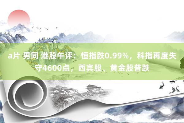 a片 男同 港股午评：恒指跌0.99%，科指再度失守4600点，西宾股、黄金股普跌