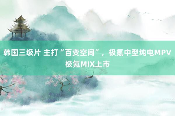 韩国三级片 主打“百变空间”，极氪中型纯电MPV极氪MIX上市