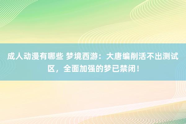 成人动漫有哪些 梦境西游：大唐编削活不出测试区，全面加强的梦已禁闭！