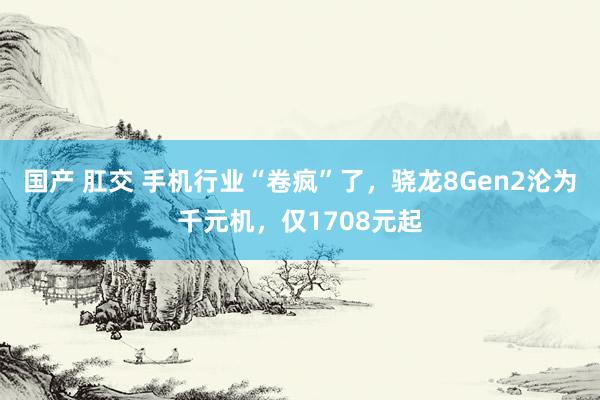 国产 肛交 手机行业“卷疯”了，骁龙8Gen2沦为千元机，仅1708元起