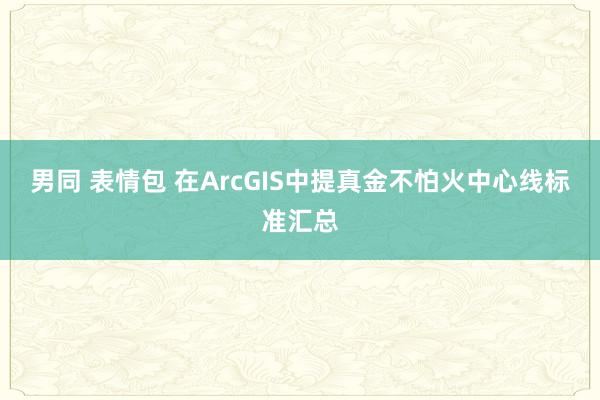 男同 表情包 在ArcGIS中提真金不怕火中心线标准汇总