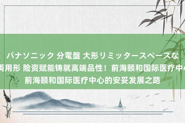 パナソニック 分電盤 大形リミッタースペースなし 露出・半埋込両用形 险资赋能铸就高端品性！前海颐和国际医疗中心的安妥发展之路