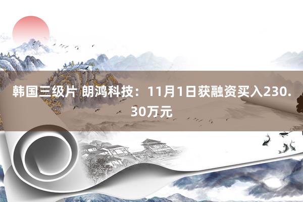 韩国三级片 朗鸿科技：11月1日获融资买入230.30万元