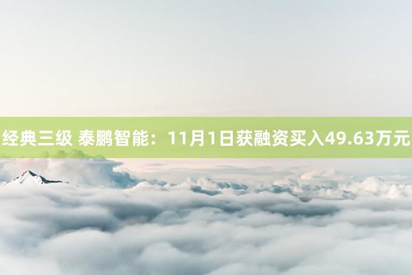 经典三级 泰鹏智能：11月1日获融资买入49.63万元