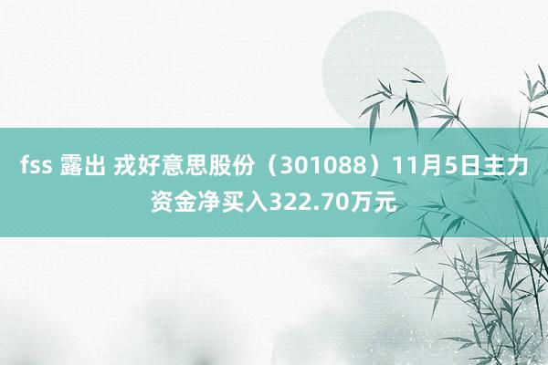 fss 露出 戎好意思股份（301088）11月5日主力资金净买入322.70万元