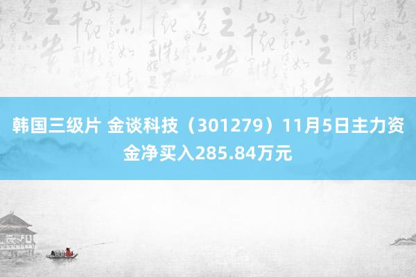 韩国三级片 金谈科技（301279）11月5日主力资金净买入285.84万元