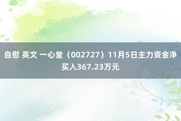 自慰 英文 一心堂（002727）11月5日主力资金净买入367.23万元