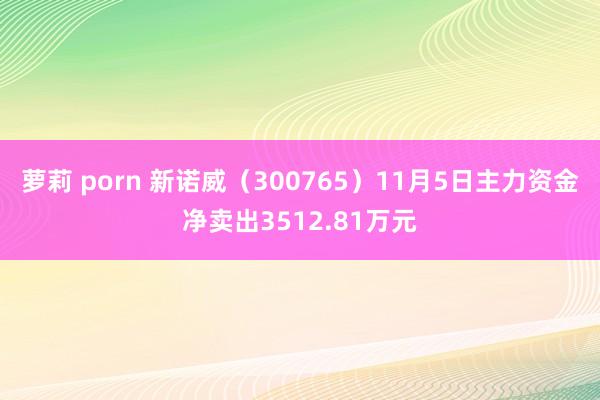 萝莉 porn 新诺威（300765）11月5日主力资金净卖出3512.81万元