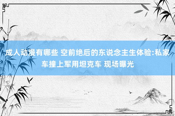 成人动漫有哪些 空前绝后的东说念主生体验:私家车撞上军用坦克车 现场曝光