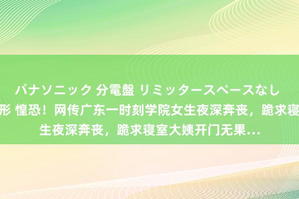 パナソニック 分電盤 リミッタースペースなし 露出・半埋込両用形 惶恐！网传广东一时刻学院女生夜深奔丧，跪求寝室大姨开门无果…