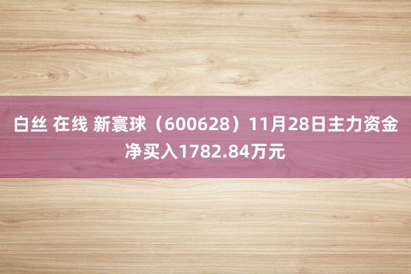 白丝 在线 新寰球（600628）11月28日主力资金净买入1782.84万元