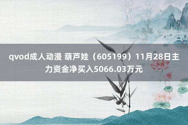 qvod成人动漫 葫芦娃（605199）11月28日主力资金净买入5066.03万元