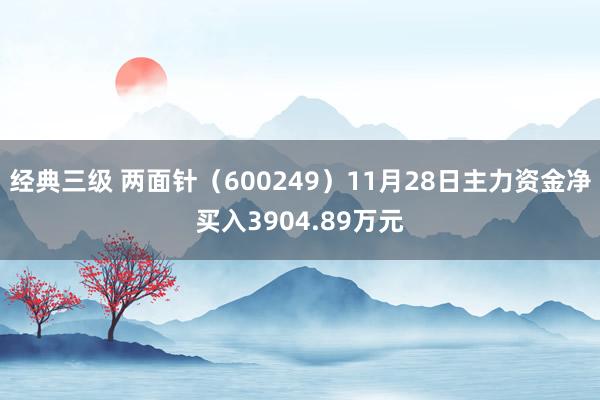 经典三级 两面针（600249）11月28日主力资金净买入3904.89万元