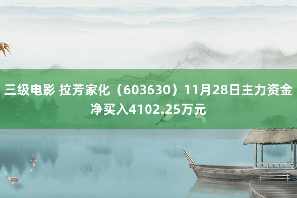 三级电影 拉芳家化（603630）11月28日主力资金净买入4102.25万元